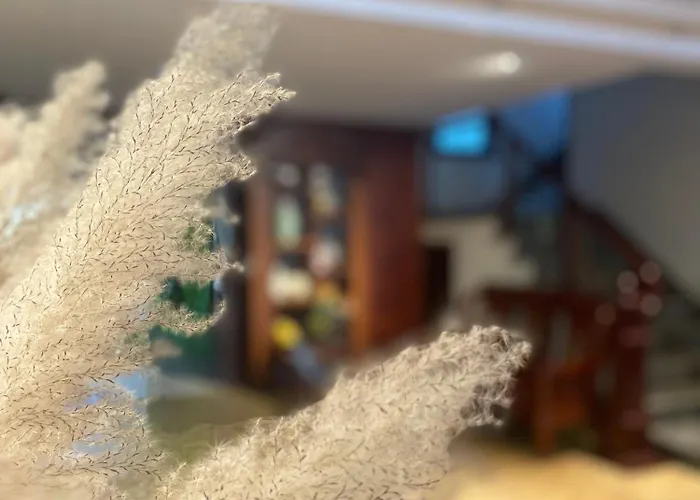 Mộc Trà Bãi Cháy