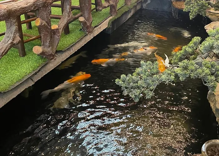 Mộc Trà Bãi Cháy Hạ Long